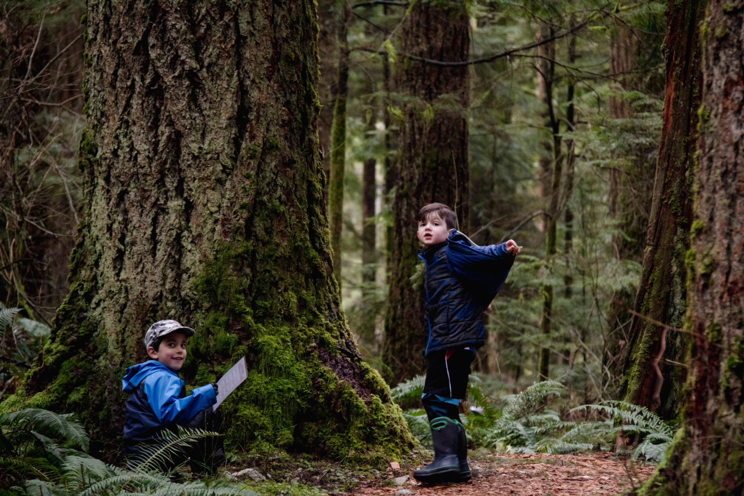 Two young boys in blue jackets standing in the forest next to a large tree.