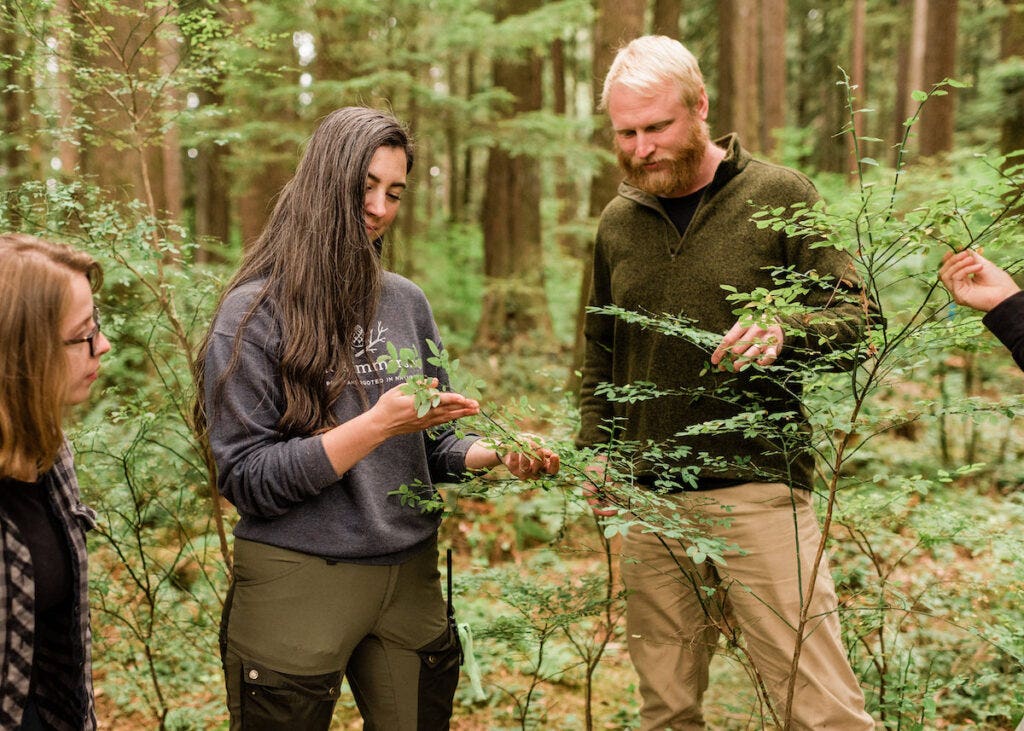 Adults learning about the forest at Wild & Immersive Retreat