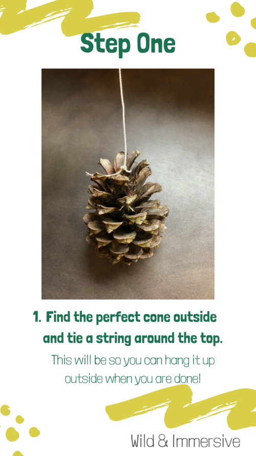Step One of the DIY Pinecone Bird Feeder - Find the perfect cone outside and tie a string around the top.