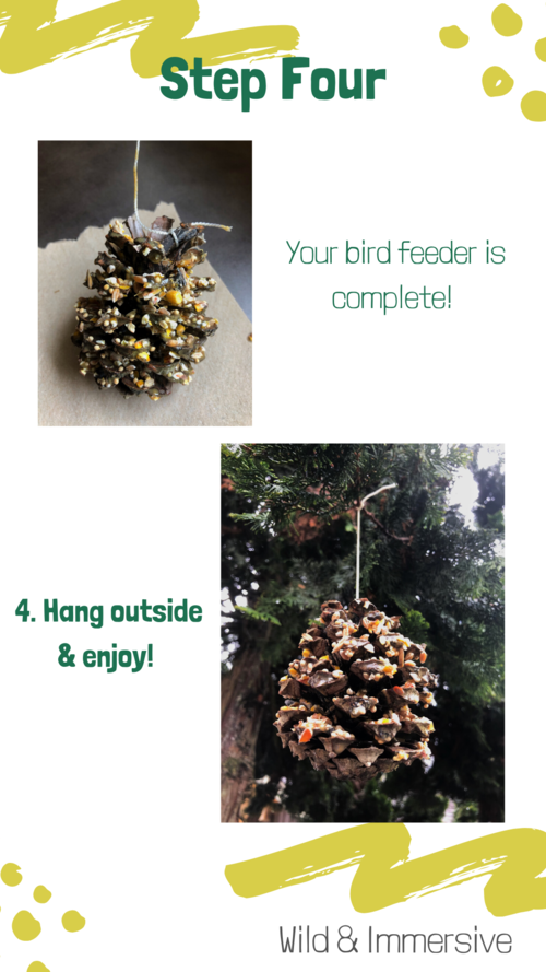 Step Four of the DIY Pinecone Bird Feeder - Hang outside & Enjoy