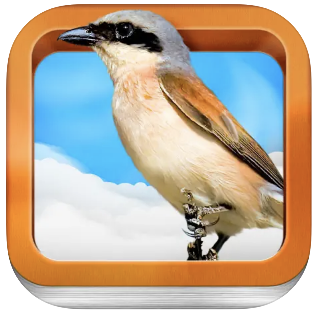 Bird guide for kids nature app icon, with a copper frame around a bird and blue sky with clouds in the background.