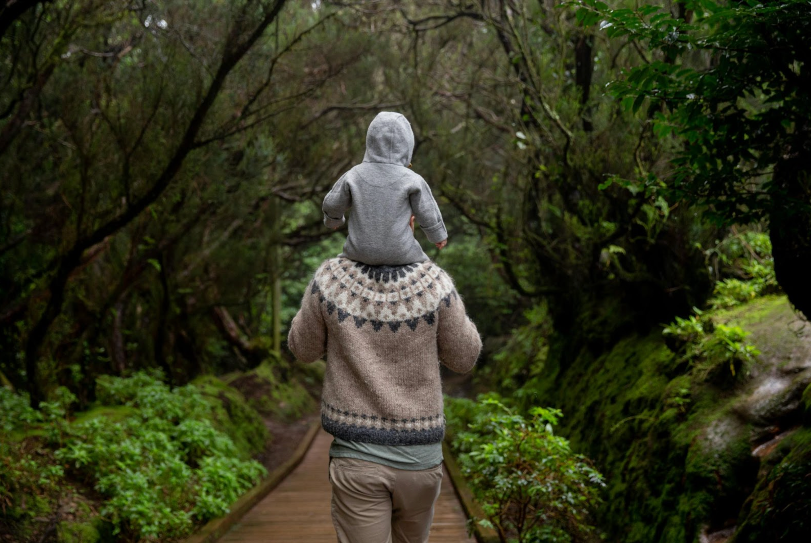 a man carrying his child on his shoulders while hiking on a wooden path through the forest
