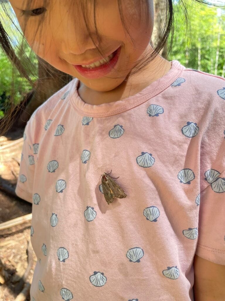 one of the child participants at the maple ridge forest school Wild and Immersive program with a moth on her light pink shirt, smiling down at it