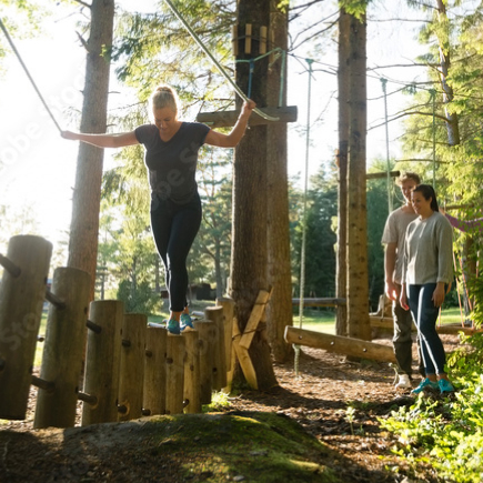 Adults doing a ropes course in the woods in the sunshine