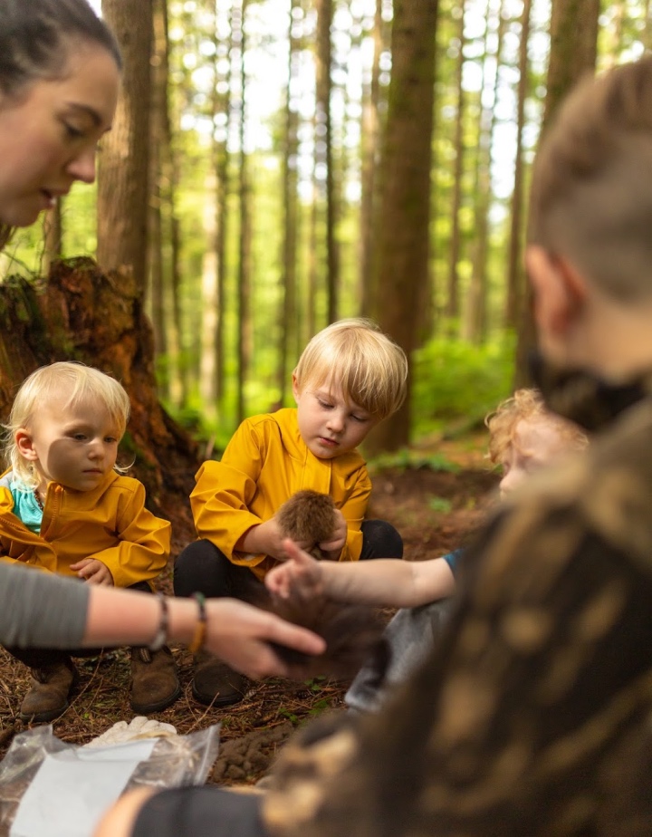 Kids learning at Wild & Immersive forest school