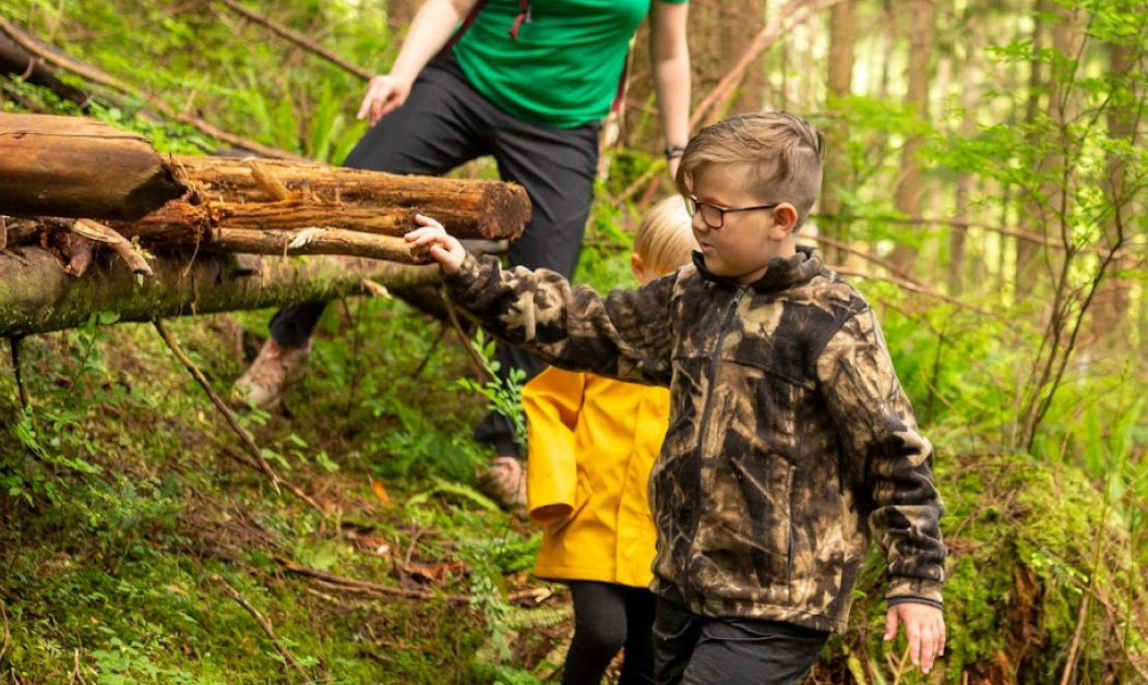 Kids exploring the forest at Wild & Immersive camp