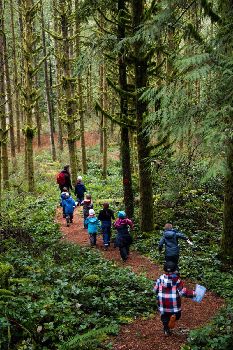 Group of kids in the Wild & Immersive Youth Group Camp hiking along a forest trail