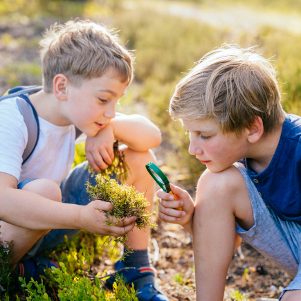 Two boys looking at boss through a magnifying glass on a sunny day, gaining the benefits of outdoor learning in British Columbia