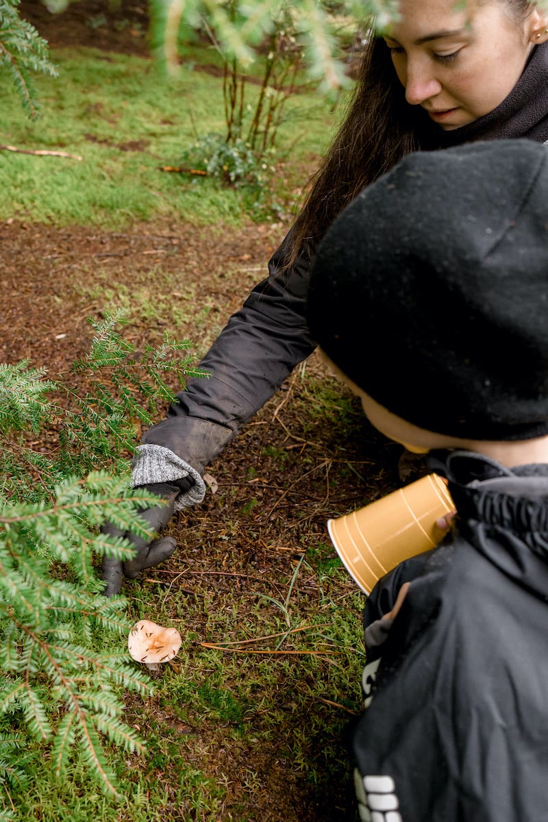 Kid looking at mushroom in the forest