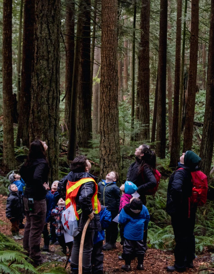 Group of kids looking up at the trees in the forest