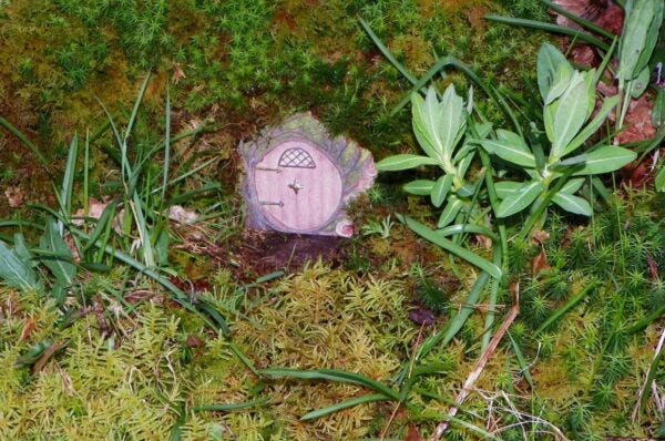 Fairy Door among forest greenery