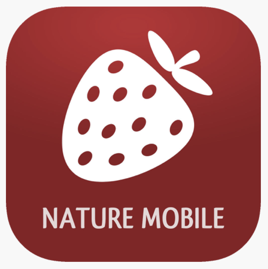 the icon for nature mobile Wild Berries and Herbs app; a white strawberry against a burgundy red background