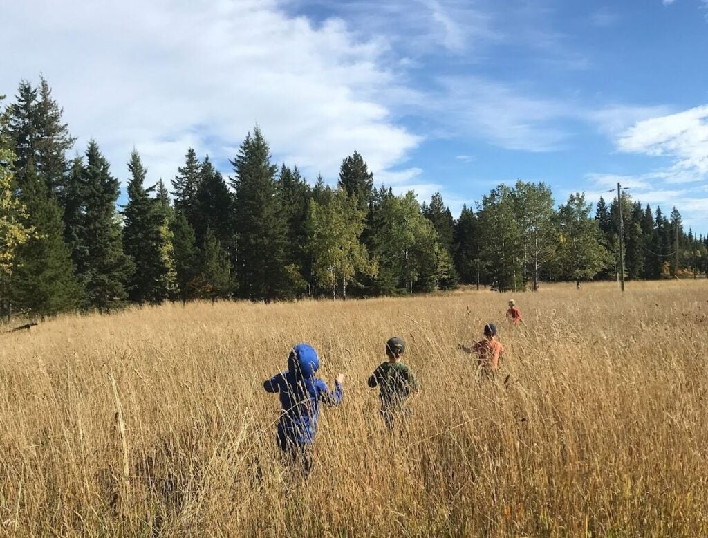 Four young kids running through a field of grass at the Alex Fraser Research Forest in Williams Lake