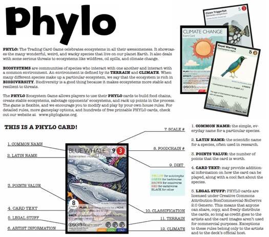 Printable resources Phylo trading cards with a breakdown of what each part of the card means and some examples
