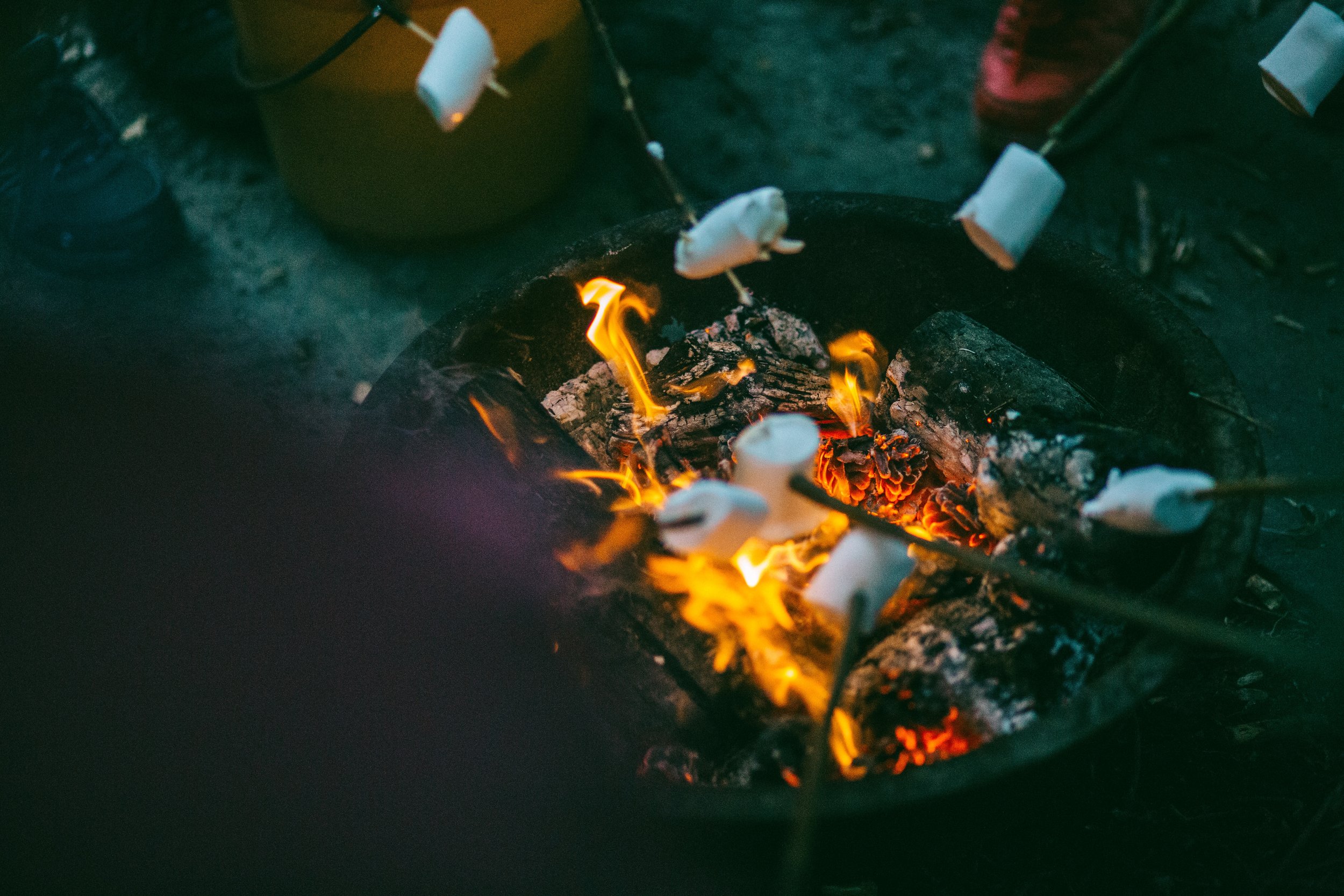 Roasting marshmallows on a campfire