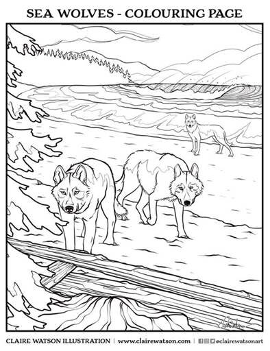 Sea Wolves Colouring Page, part of Wild at Home's day 1 activity printable resources.