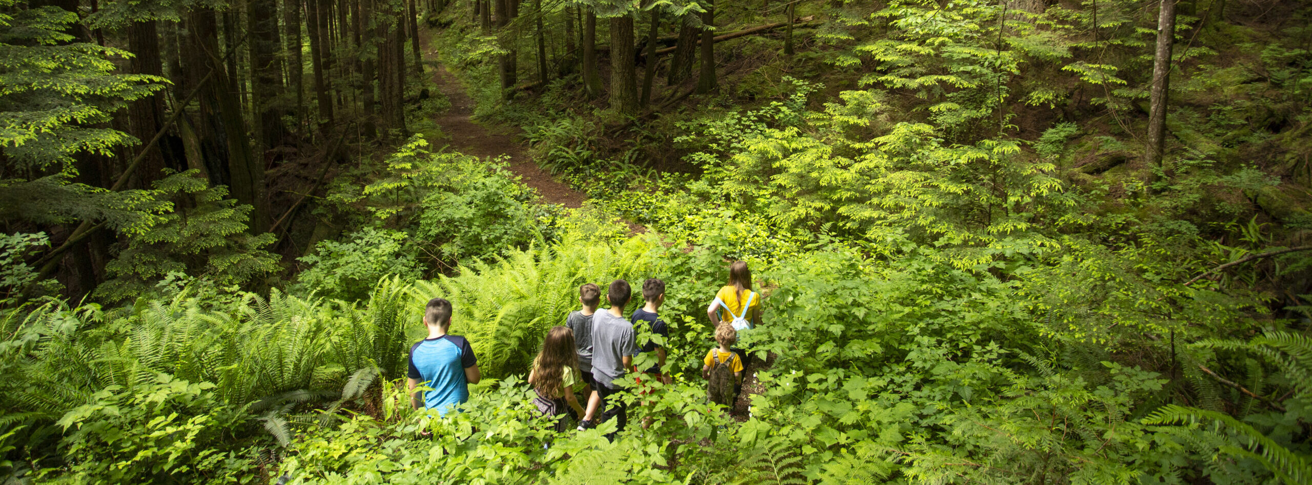 group of kids hiking in the forest during a summer day camp