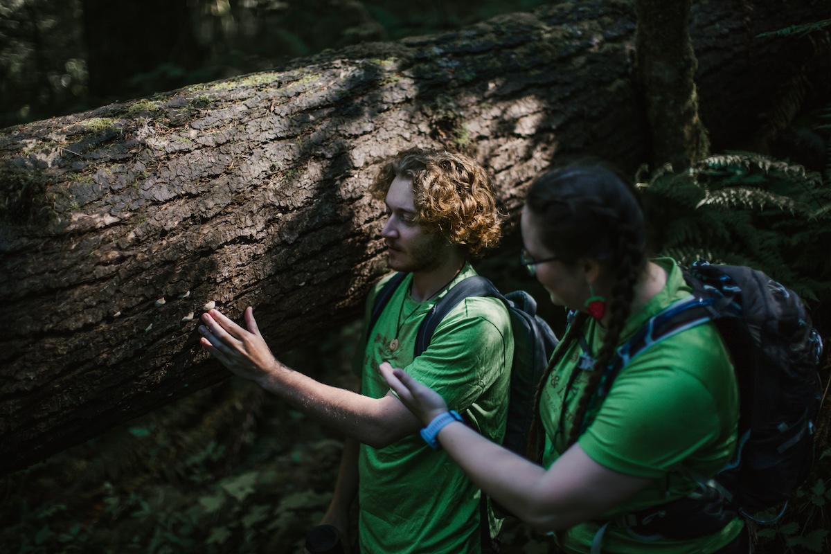 Wild & Immersive team members looking at bark on a fallen tree