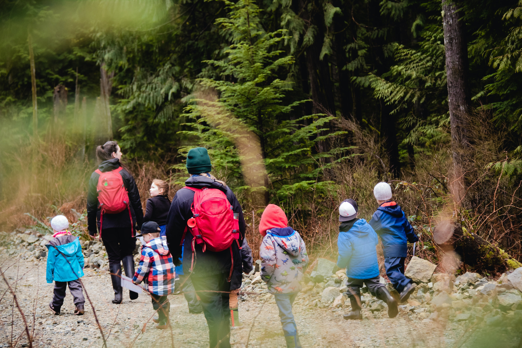 Group of kids at forest school walking on forest path
