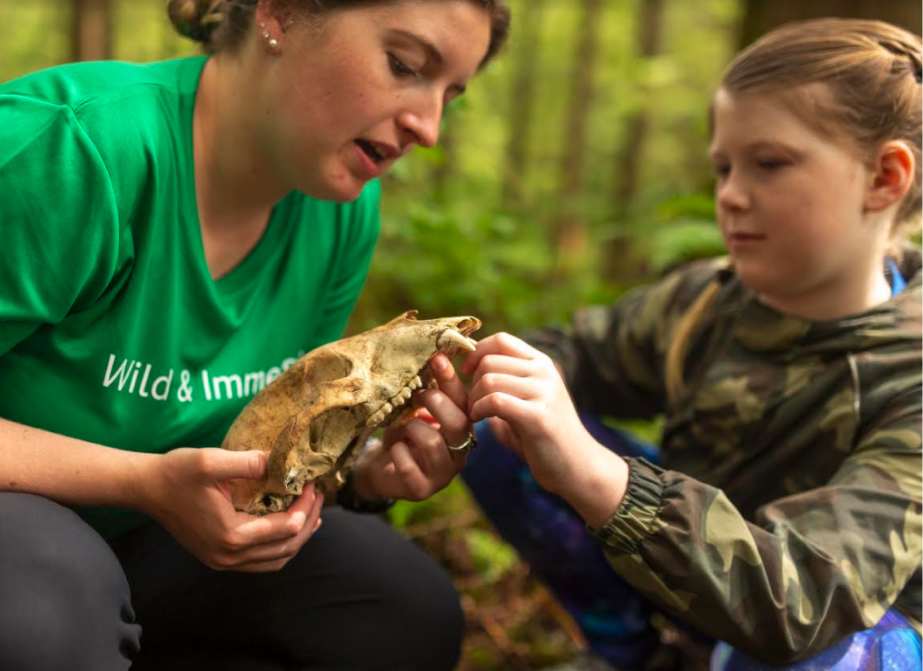 Wild & Immersive team member showing an animal skull to a kid