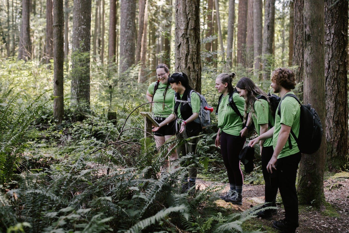 Wild & Immersive team looking at forest informational post