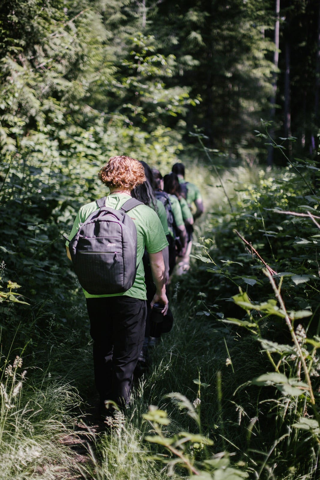 Wild and Immersive team hiking through the forest