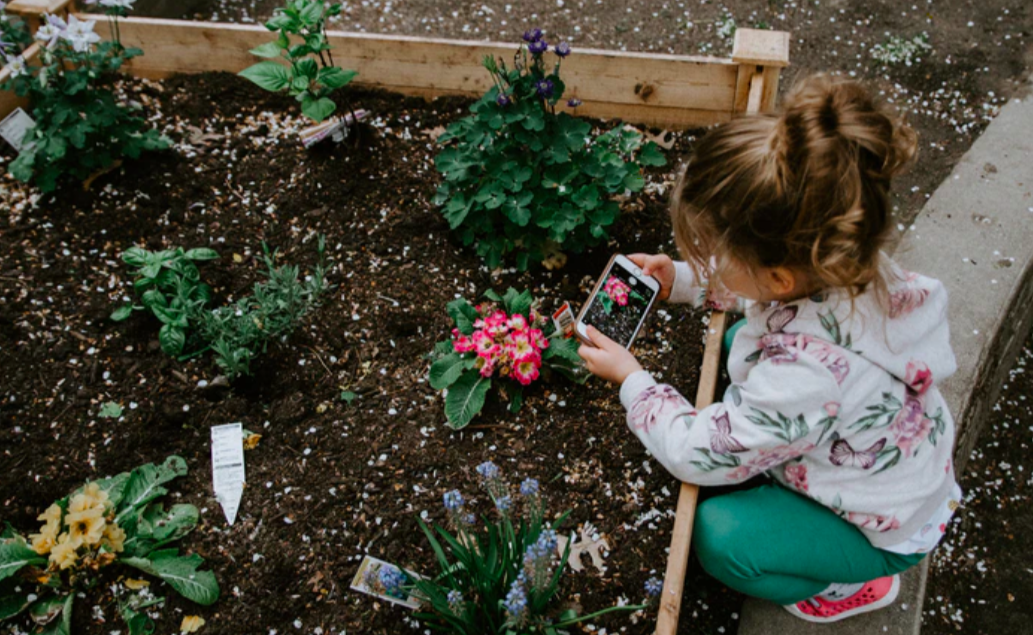 Young girl taking photos of garden flowers